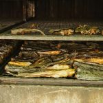 Smoke, Salt, and Survival: The Ancient Art of Cambodian Smoked Fish (Trei Chho’e)