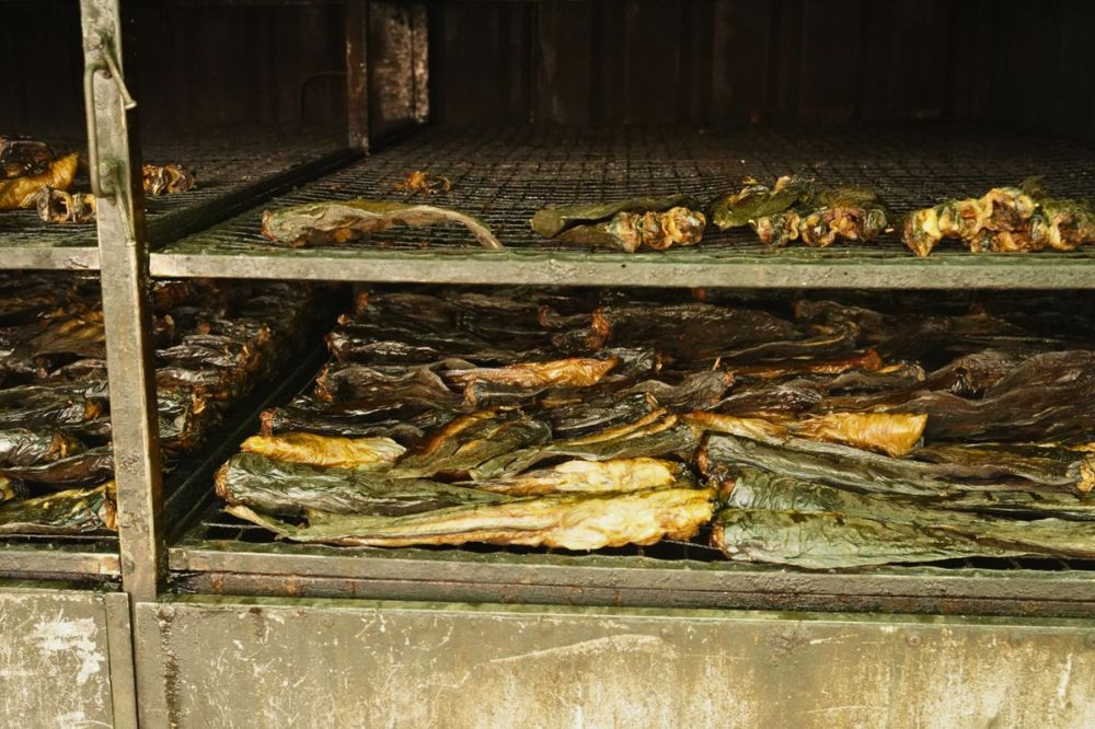 Smoke, Salt, and Survival: The Ancient Art of Cambodian Smoked Fish (Trei Chho’e)