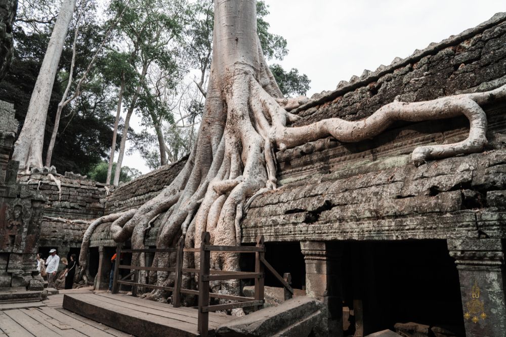 Private Angkor Sunrise Tour, Breakfast Included 1000 × 666 px (20)
