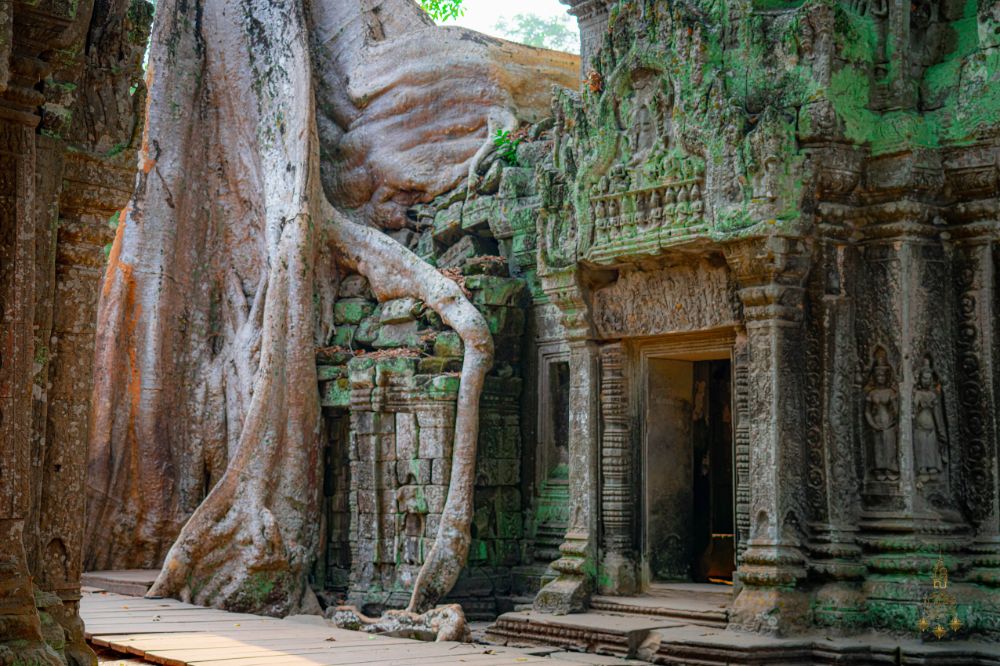 Private Angkor Sunrise Tour, Breakfast Included 1000 × 666 px (24)
