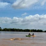Discovering Virgin Island: A Sacred Sanctuary for Cambodia’s Mekong Dolphins