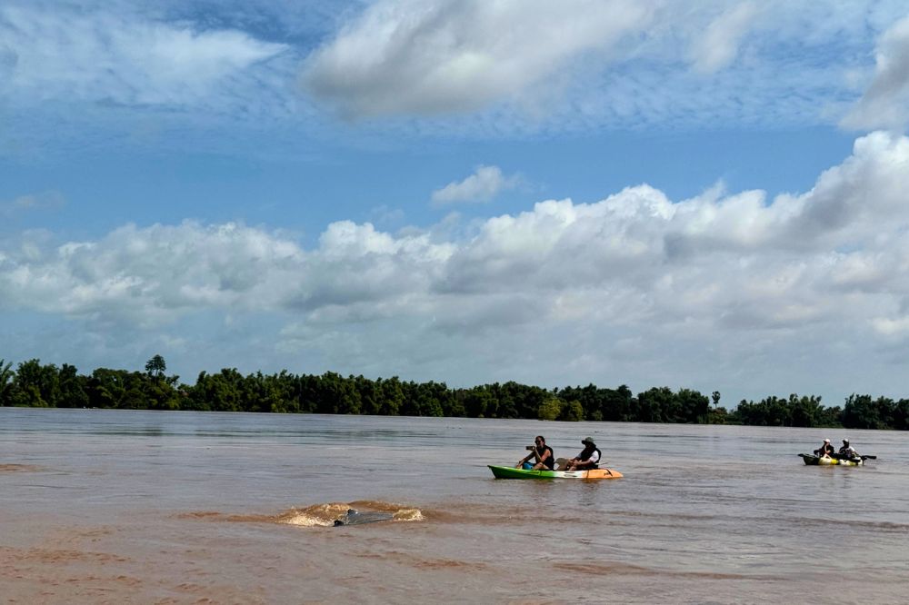 Discovering Virgin Island: A Sacred Sanctuary for Cambodia’s Mekong Dolphins